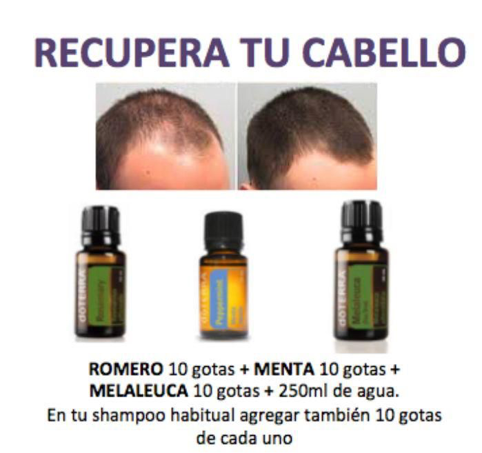 Pasted image 20250929150223.png